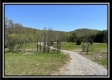 Tract 10 - The Woods at Sunfish Creek property photo