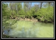 Tract 10 - The Woods at Sunfish Creek property photo