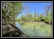 Tract 10 - The Woods at Sunfish Creek property photo