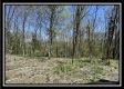 Tract 10 - The Woods at Sunfish Creek property photo