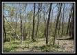 Tract 10 - The Woods at Sunfish Creek property photo