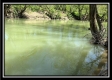 Tract 10 - The Woods at Sunfish Creek property photo