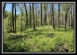 Tract 10 - The Woods at Sunfish Creek property photo