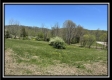 Tract 10 - The Woods at Sunfish Creek property photo