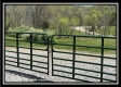 Tract 10 - The Woods at Sunfish Creek property photo
