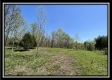 More of Tract 10 - The Woods at Sunfish Creek