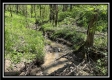 Tract 10 - The Woods at Sunfish Creek property photo