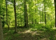 Dent Road, Sunbury OH property photo