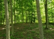 Dent Road, Sunbury OH property photo