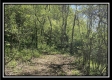 Tract 1 – The Views at Blue Rock property photo