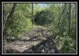 Tract 1 – The Views at Blue Rock property photo