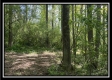 Tract 1 – The Views at Blue Rock property photo