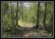 Tract 1 – The Views at Blue Rock property photo