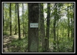 More of Tract 1 – The Views at Blue Rock