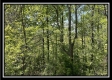 Tract 1 – The Views at Blue Rock property photo