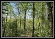 Tract 1 – The Views at Blue Rock property photo