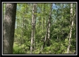 Tract 1 – The Views at Blue Rock property photo