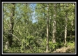 Tract 1 – The Views at Blue Rock property photo