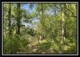 Tract 1 – The Views at Blue Rock property photo