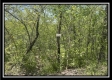 Tract 1 – The Views at Blue Rock property photo