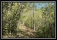 Tract 2 – The Views at Blue Rock property photo