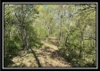 Tract 2 – The Views at Blue Rock property photo