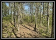 Tract 2 – The Views at Blue Rock property photo