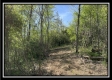 Tract 2 – The Views at Blue Rock property photo