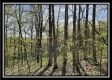 Tract 2 – The Views at Blue Rock property photo