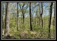 Tract 2 – The Views at Blue Rock property photo