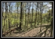 Tract 2 – The Views at Blue Rock property photo