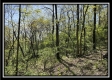 Tract 2 – The Views at Blue Rock property photo