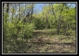 Tract 2 – The Views at Blue Rock property photo