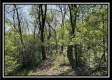 Tract 2 – The Views at Blue Rock property photo