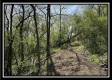 Tract 2 – The Views at Blue Rock property photo