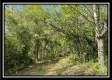 Tract 2 – The Views at Blue Rock property photo