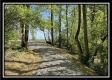 More of Tract 2 – The Views at Blue Rock