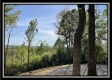 More of Tract 2 – The Views at Blue Rock