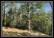 Tract 2 – The Views at Blue Rock property photo