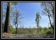 Tract 2 – The Views at Blue Rock property photo