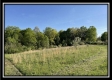 The Barn at Blue Rock property photo