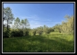 The Barn at Blue Rock property photo