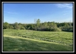 6880 Shaver Road, Blue Rock, OH 43720 property photo