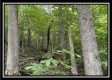 More of Hunter’s Haven on Wayne