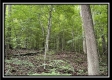 More of Hunter’s Haven on Wayne