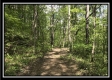 Hunter’s Haven on Wayne property photo