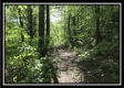 Hunter’s Haven on Wayne property photo