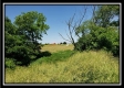 Tract 2 at Darby Farm at Scottslawn property photo