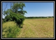 Tract 2 at Darby Farm at Scottslawn property photo
