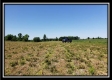 Tract 2 at Darby Farm at Scottslawn property photo